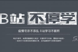 b站視頻怎么下載到本地_怎么把B站視頻導出到手機