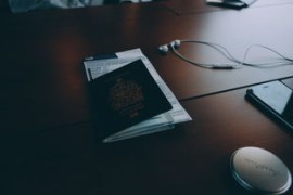 抖音PC版在哪里找收藏？詳細(xì)教程教你一鍵找到收藏內(nèi)容