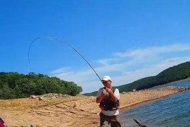 子線變短視頻教程_為什么海里的魚釣上來就不動