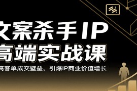 文案殺手IP高端實(shí)戰(zhàn)課：破高客單成交壁壘，引爆IP商業(yè)價(jià)值增長(zhǎng)
