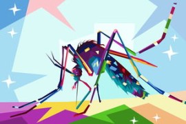 直播切片分成比例（直播切片可以投自制嗎）