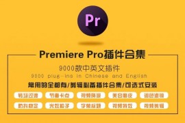PR剪輯必備插件一鍵安裝包+抖音短視頻高端運(yùn)營教程