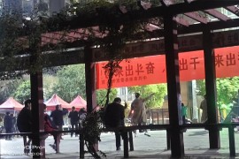 一點點抖音副業(yè)賺錢嗎是真的嗎嗎你副業(yè)成功了嗎