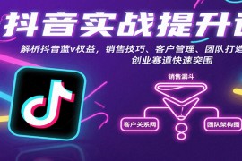 抖音實(shí)戰(zhàn)提升課：解析抖音藍(lán)v權(quán)益，銷(xiāo)售技巧、客戶管理、團(tuán)隊(duì)打造等創(chuàng)業(yè)賽道快速突圍