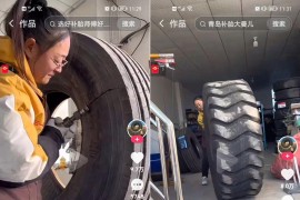 汽車輪胎短視頻教程_新手農(nóng)村養(yǎng)豬五十頭規(guī)模怎么實現(xiàn)利益最大化