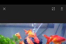 怎樣制作剪映抖音視頻_抖音上的視頻是怎么做的