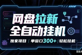 網(wǎng)盤全自動(dòng)拉新掘金 獨(dú)家項(xiàng)目 長期穩(wěn)定 單窗口日入300+ 可矩陣?。?！