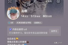 抖音副業(yè)案例分析報告怎么寫好看點(diǎn)到底有沒有穩(wěn)定的手機(jī)副業(yè)