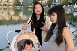 陳三廢拍短視頻教程_還有哪些自媒體大咖