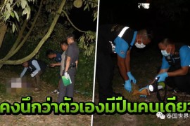 偷榴蓮短視頻教程大全_把自己壓榨到最狠的時候是怎樣的