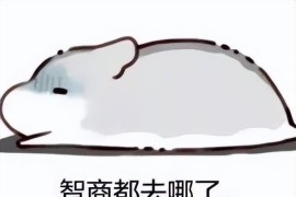 如何操作抖音賺錢_現(xiàn)在抖音有什么賺錢的項(xiàng)目
