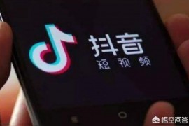 視頻號直播怎么看回放拼多多怎么看回放直播