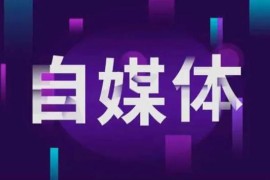 抖音賺錢真相是真的嗎_那些抖音上100天挑戰(zhàn)賺100萬的