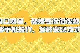 新風(fēng)口項(xiàng)目視頻號(hào)祝福視頻，一部手機(jī)操作，多種變現(xiàn)方式