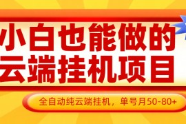 小白也能做的云端掛機(jī)項(xiàng)目無需操作，云端掛機(jī)，支持批量，單號(hào)月50-100，完全解放雙手