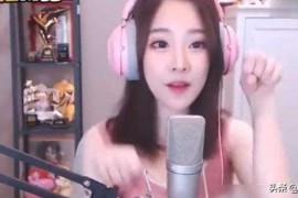 抖音賺錢最簡單的方法是什么意思啊_抖音幾百萬贊