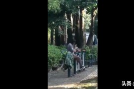抖一抖下一句順口溜手一抖下一句是什么