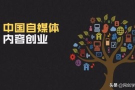 抖音賺錢的方式有多少種_抖音幾百萬贊