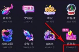 嘉年華多少錢人民幣_抖音里鳳舞九天多少抖幣