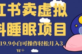 小紅書賣虛擬資料睡眠項(xiàng)目，一單利潤(rùn)19.9小白可操作輕松月入3W+【揭秘】