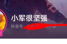 抖音賺錢的方法只有直播嗎_為啥我的抖音普通版沒有金幣功能