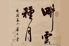 興化抖音短視頻教程_怎樣才能賦予它一種獨特的風格氣質
