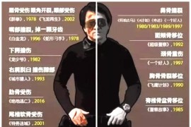 武打短視頻教程_功夫熊貓大師排名