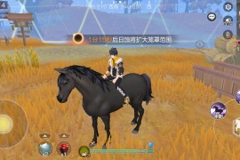 吃雞電腦版叫什么名字_鋼槍吃雞游戲你們玩過(guò)嗎