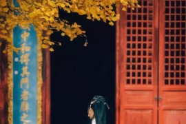 拍短視頻教程麥兜_有什么喜劇電影可以推薦嗎