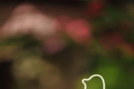 花樣機剪線短視頻教程_電腦花樣機如何使用