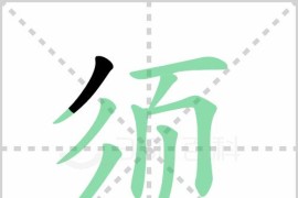 語文15秒短視頻教程_現(xiàn)自己教他識(shí)字怎樣讓他識(shí)字量短時(shí)間內(nèi)快速增長(zhǎng)