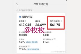 抄小說發(fā)抖音賺錢是真的嗎知乎推薦文章_什么兼職副業(yè)能賺錢