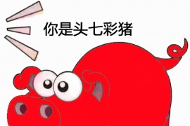 抖音動(dòng)態(tài)頭像動(dòng)感相冊(cè)怎么上傳抖音