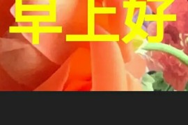 用手機怎么制作短視頻教程（用手機如何剪輯制作視頻）