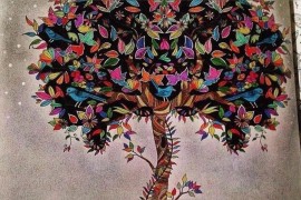 抖音10本書_抖音對(duì)應(yīng)書單的鏈接怎么發(fā)