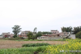廣西白話(huà)短視頻教程_拉雷是什么意思廣西話(huà)