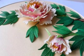 牡丹短視頻教程_菏澤國花學校靠譜嗎