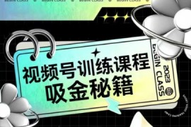大陽(yáng)-如何做好視頻號(hào)，視頻號(hào)訓(xùn)練課程，吸金秘籍