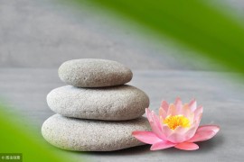 禪語錄短視頻教程_放下了也就釋然了經(jīng)典語錄