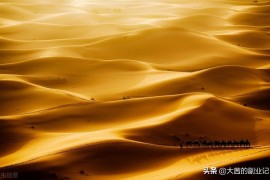 抖音副業(yè)方案怎么做創(chuàng)業(yè)負(fù)債中條友們能說說大家都是怎么搞副業(yè)的嗎
