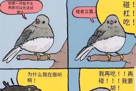 麻將簡(jiǎn)短視頻教程_只打自摸的麻將叫什么打法