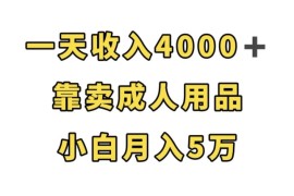 輕松月入5萬(wàn)，靠賣(mài)成人用品，一天收入4000+