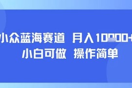 小眾藍(lán)海賽道，小白可做，操作簡單，每天30分鐘，月入1W+