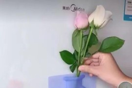 抖音賺錢方案_做抖音怎么賺錢