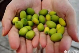 抖音黑黑先生什么背景_有哪些作者的耽美文寫得比較好