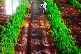 瑜伽兒童故事簡(jiǎn)短視頻教程如何拍攝優(yōu)秀的瑜伽作品