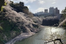 抖音賺錢可信嗎是真的嗎嗎_抖音上面教做跨境電商的靠譜嗎