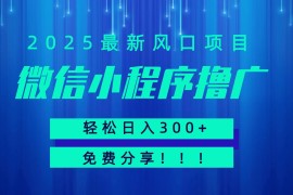 微信小程序擼廣，最新風(fēng)口項(xiàng)目，日入300+ 免費(fèi)分享 可批量操作 小白可輕松上手??！