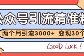 公眾號(hào)精準(zhǔn)粉引流玩法 2個(gè)月3000+精準(zhǔn)粉 變現(xiàn)30萬(wàn)+