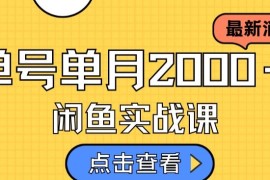 最新閑魚日入500＋，通過虛擬資料變現(xiàn)實(shí)現(xiàn)輕松賺錢